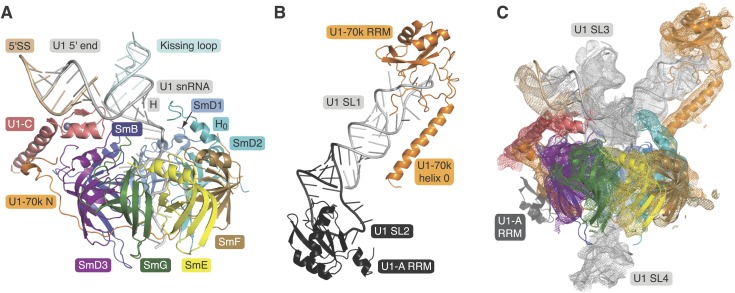 Figure 1.