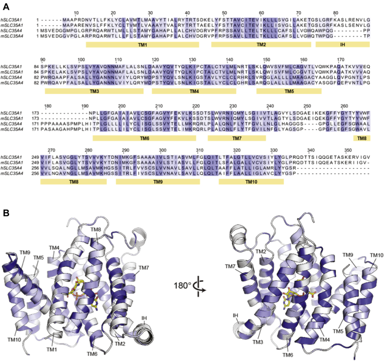 Figure 4