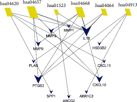 Figure 6