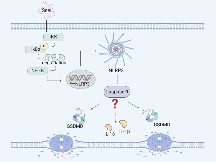 Figure 2