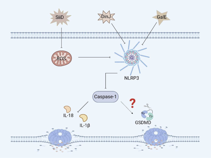 Figure 5