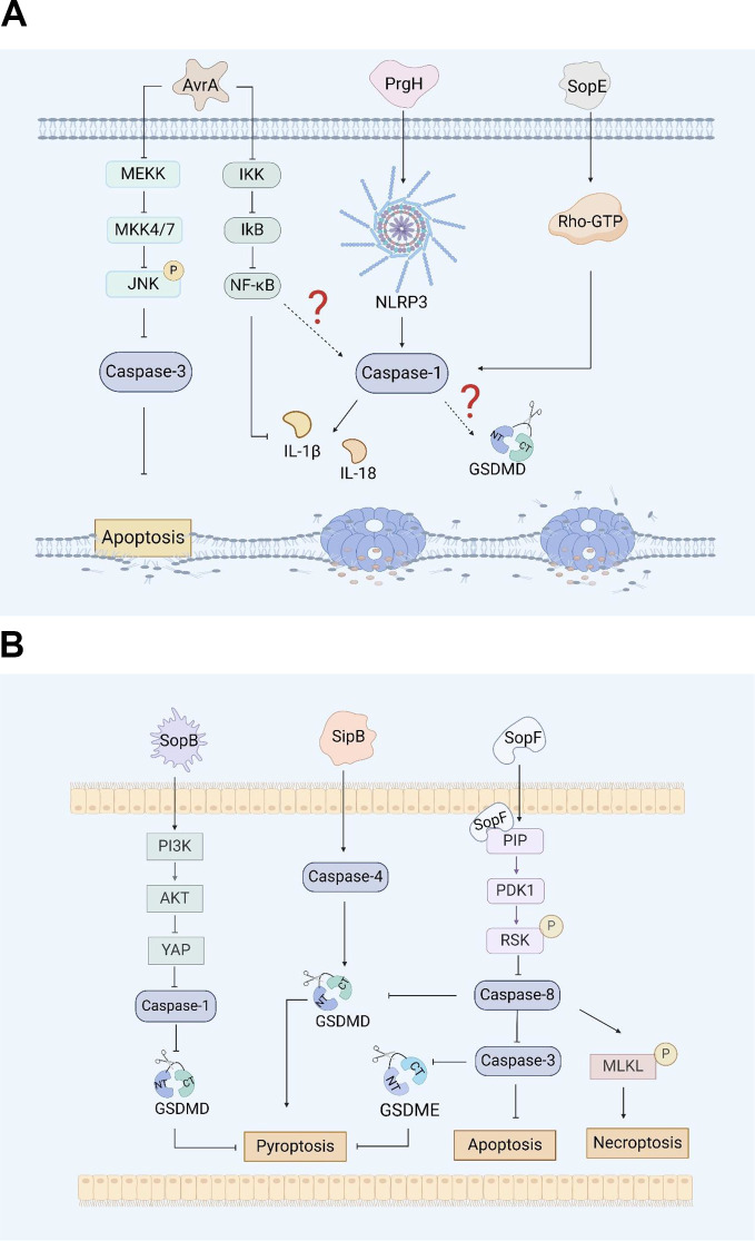 Figure 1