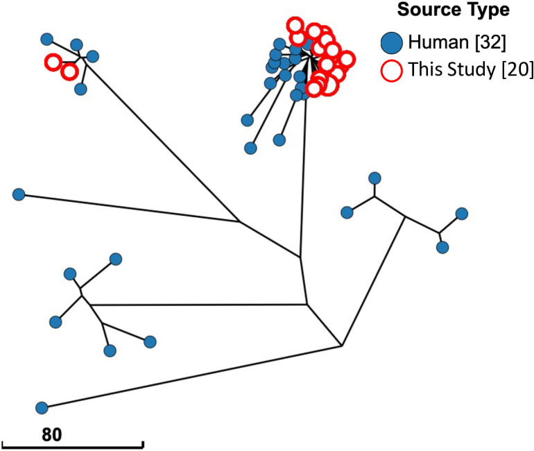 Fig 4