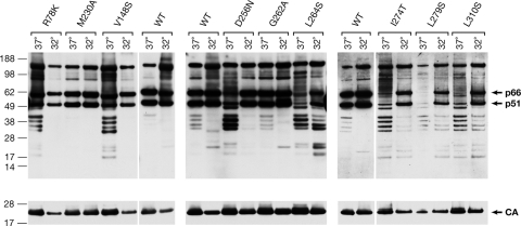 FIG. 5.