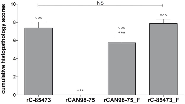 Fig 8