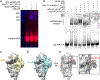 Extended Data Fig. 2 |