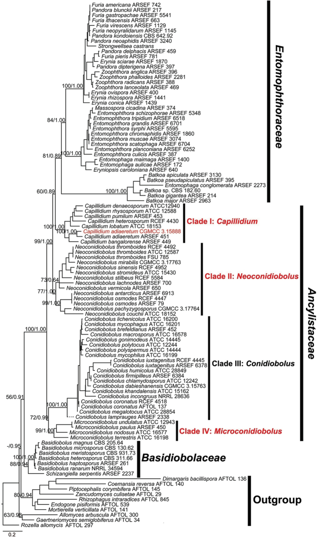 Figure 1.