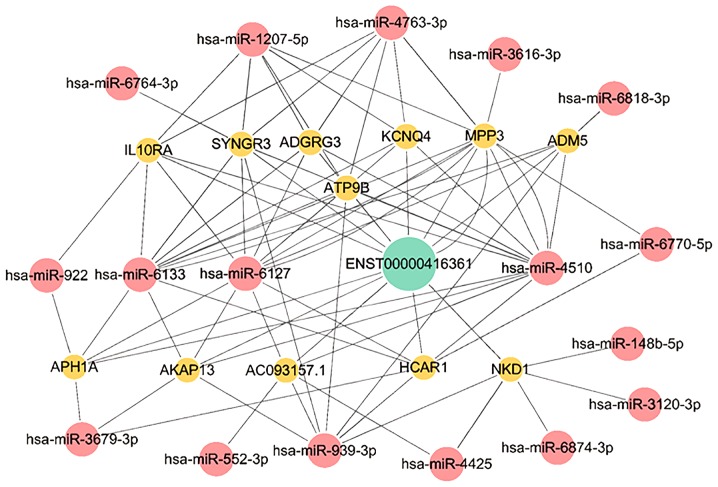 Figure 4.