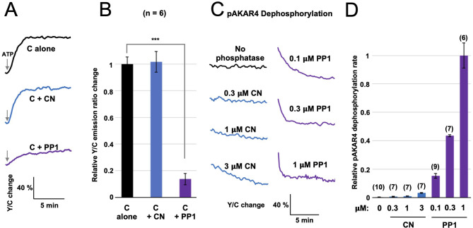 Figure 3—figure supplement 2.