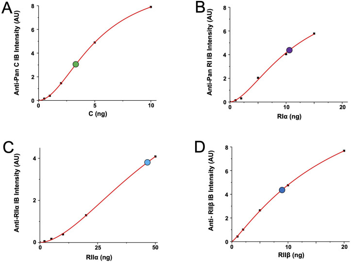 Figure 2—figure supplement 1.