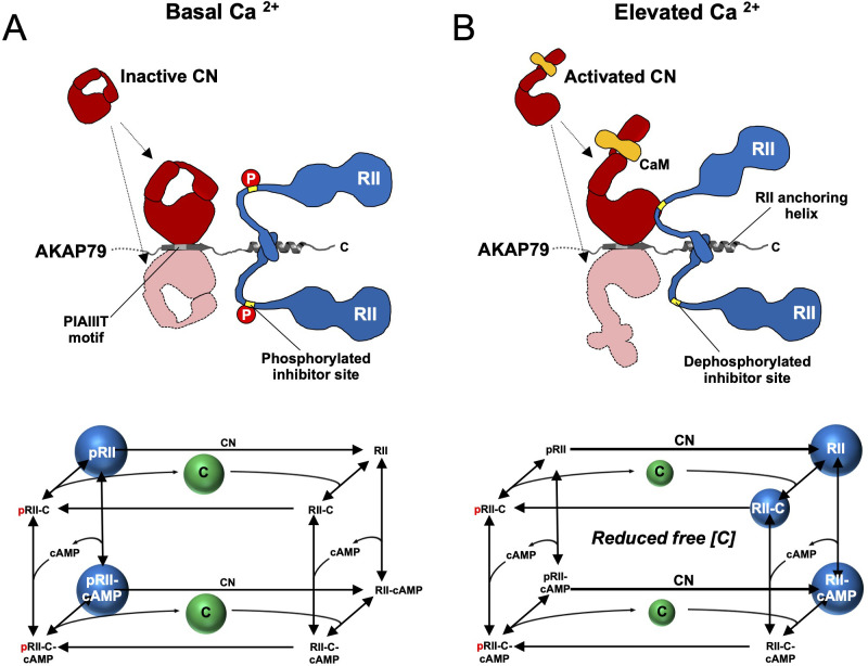 Figure 7.