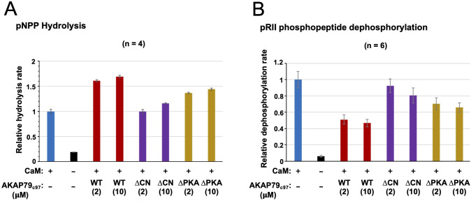 Figure 1—figure supplement 3.