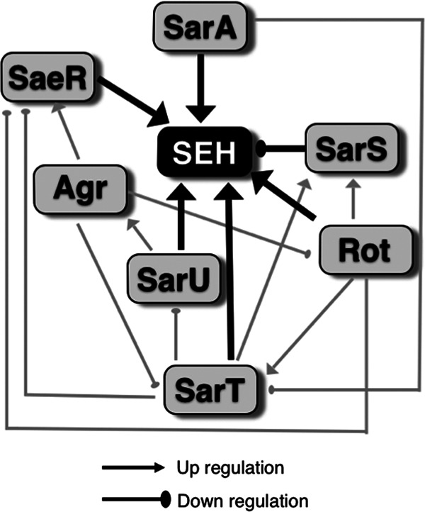 FIG 3