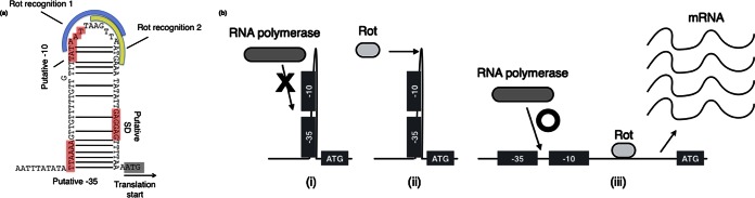 FIG 6