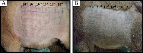 Fig. 4