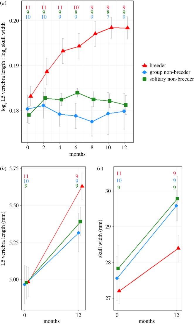 Figure 3.