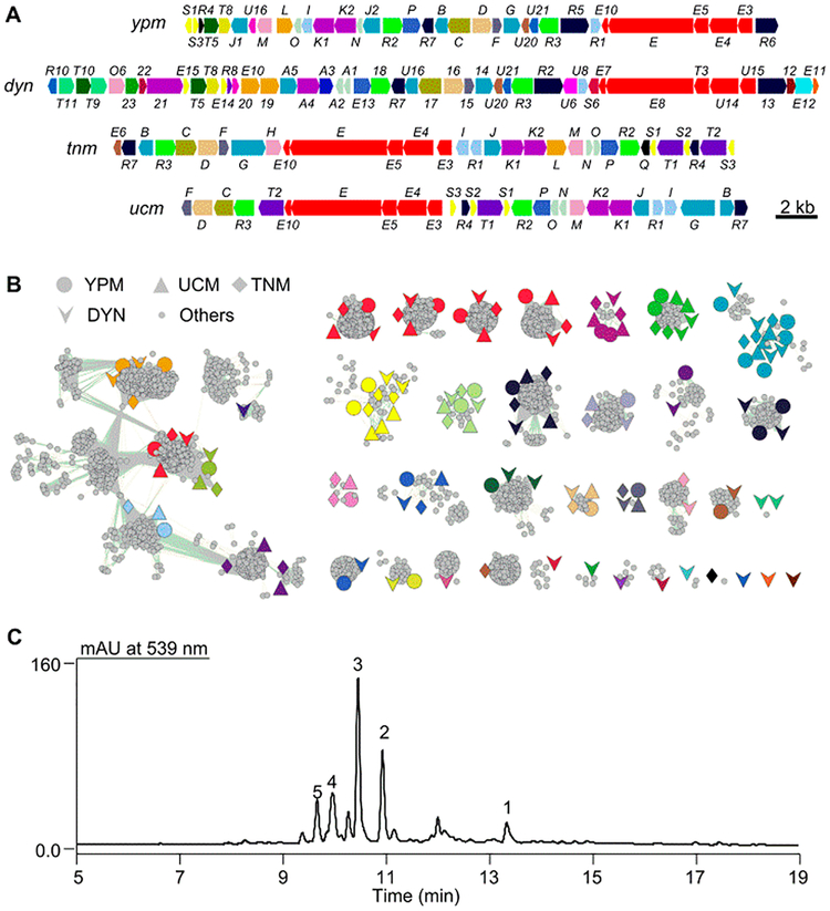 Figure 2.