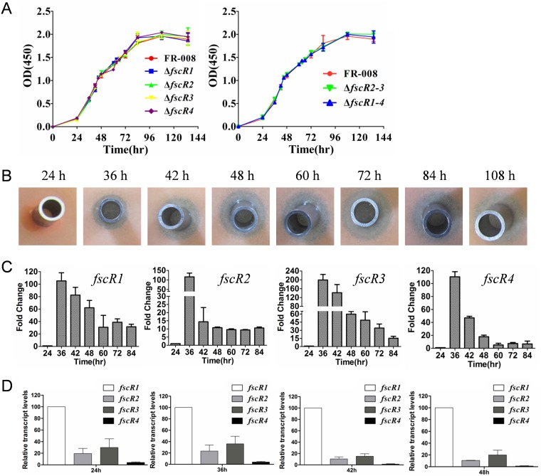 FIG 1