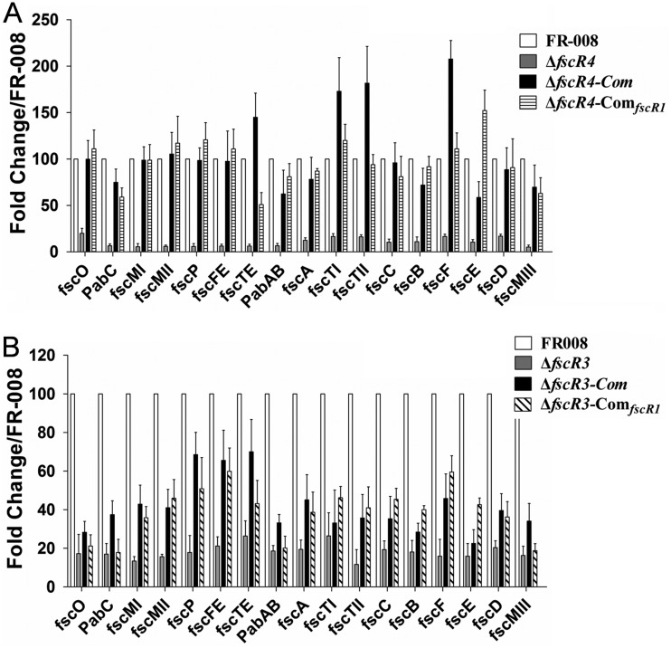 FIG 10