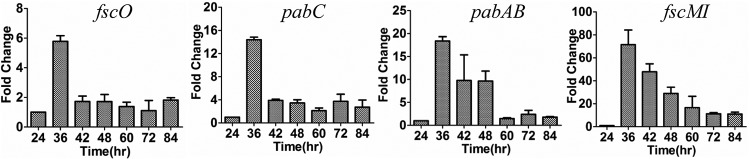 FIG 2