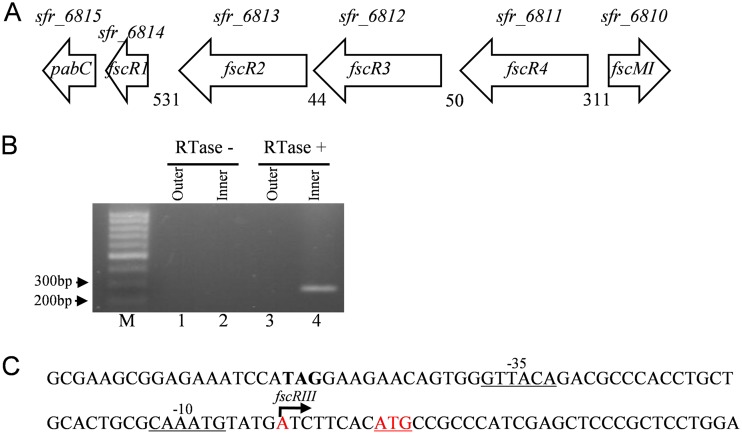 FIG 3