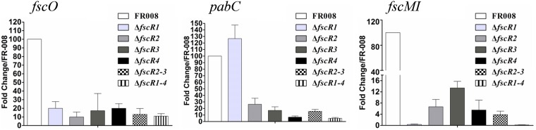 FIG 6