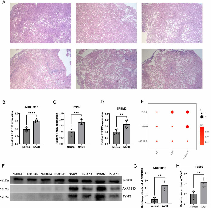 Fig. 10