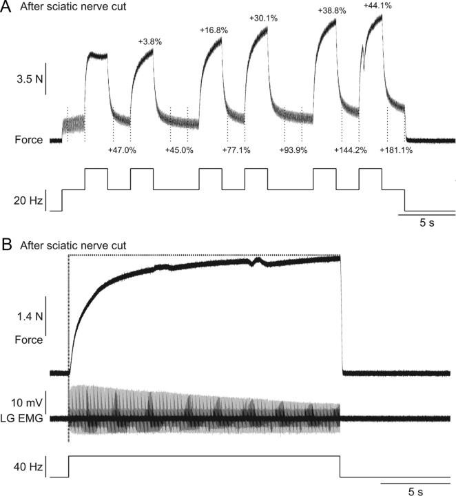 Figure 10.