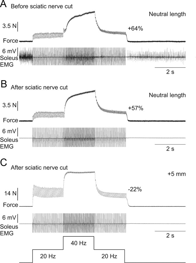 Figure 9.