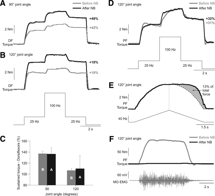 Figure 11.