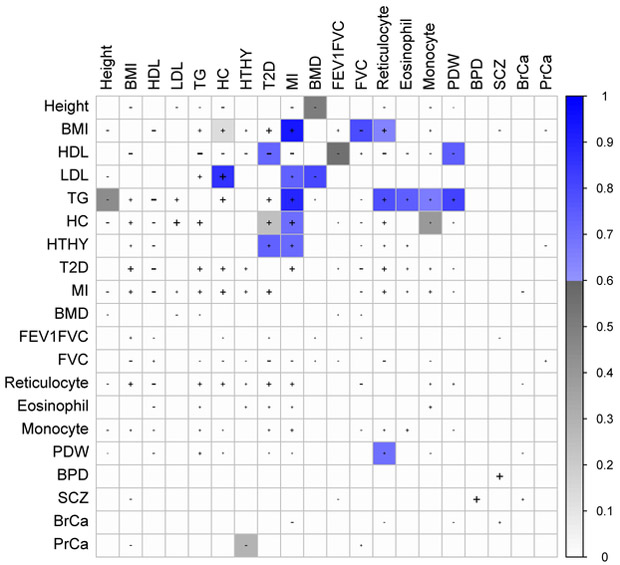 Figure 4: