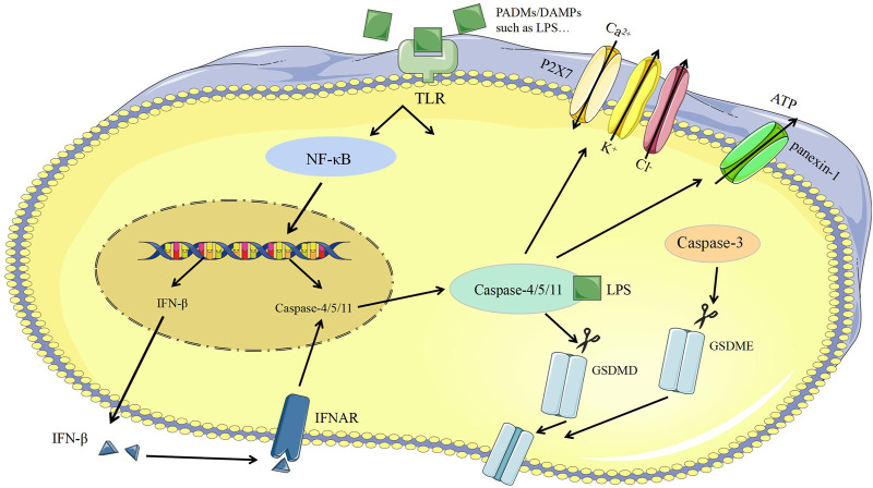 FIGURE 3