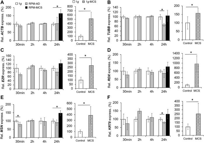 FIGURE 3