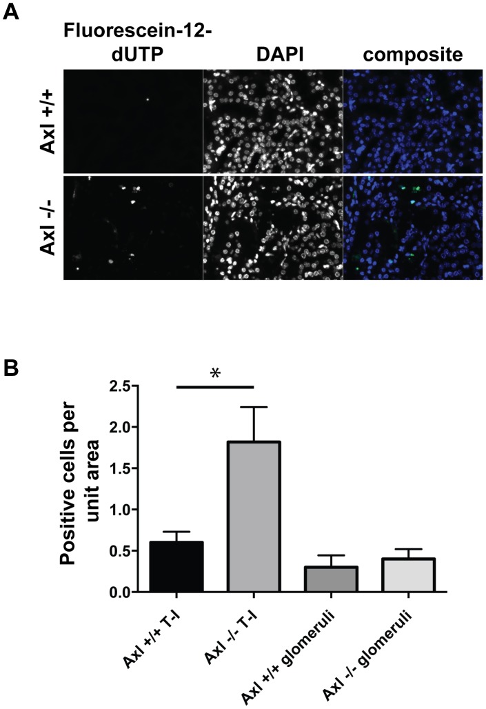 Figure 4.: