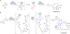 Scheme 3