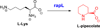 Hyperlink Scheme 1