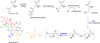 Hyperlink Scheme 10