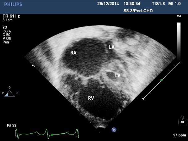 Fig. 6.