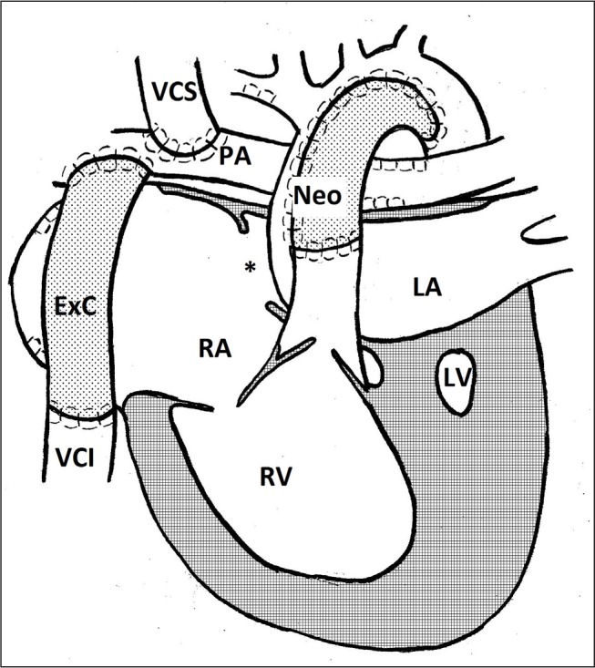 Fig. 5.