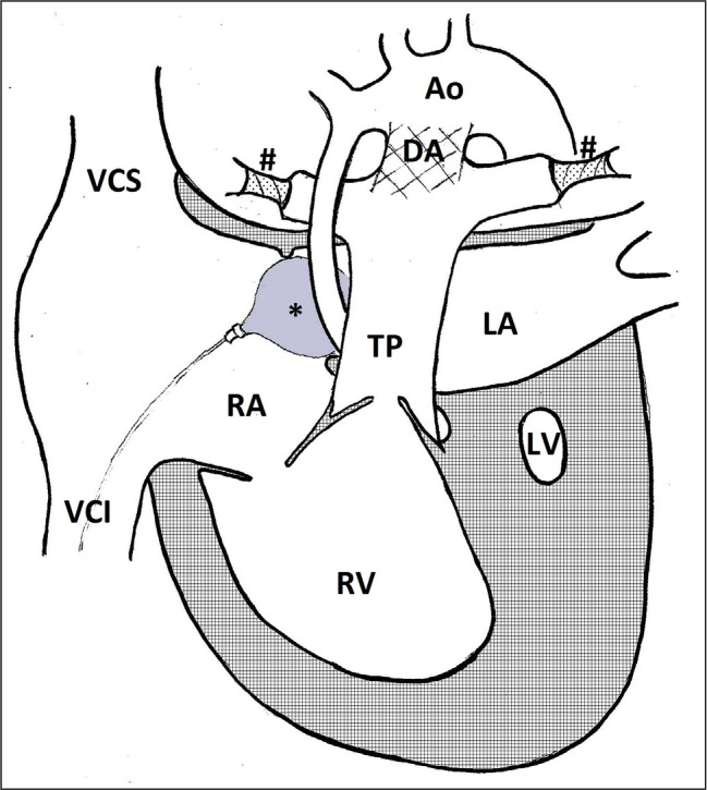 Fig. 3.