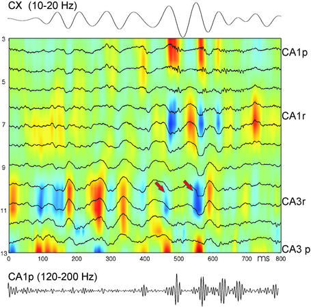 Figure 5