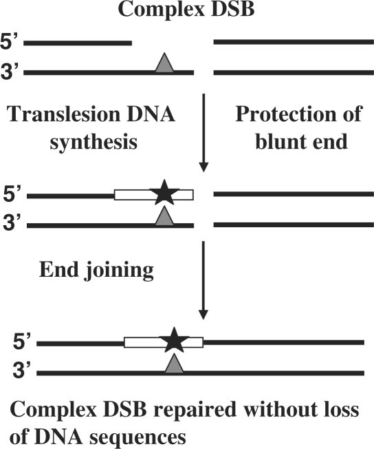 Figure 5.