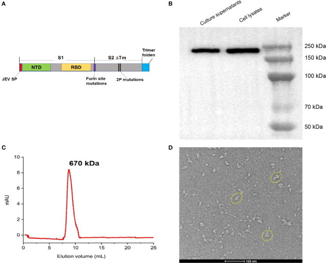 Figure 1