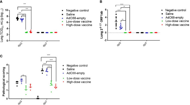 Figure 6