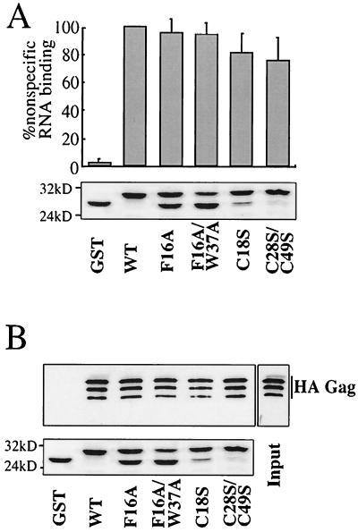 FIG. 9