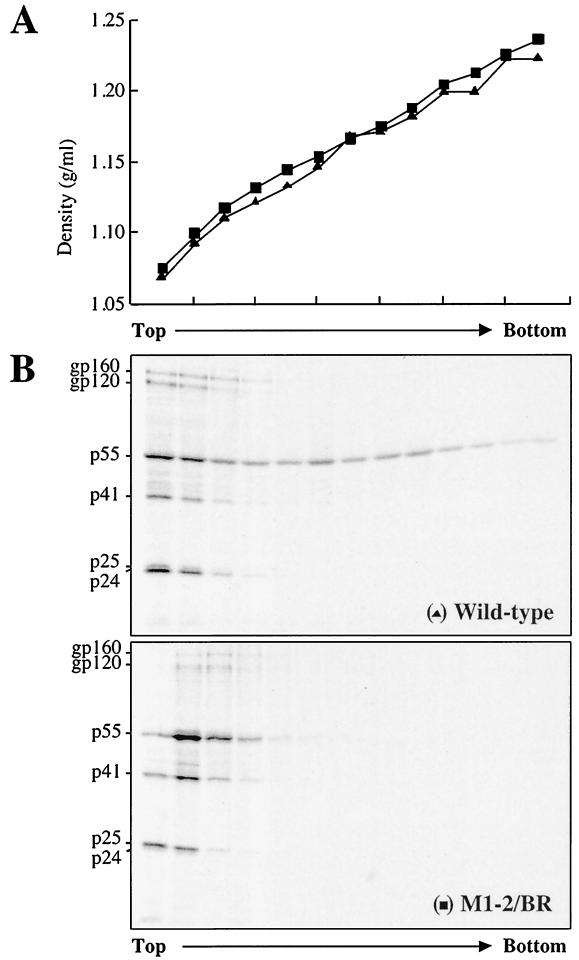 FIG. 8