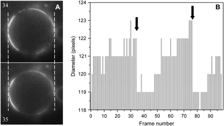 FIGURE 4