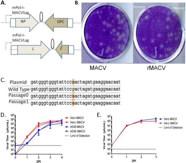 FIG 3