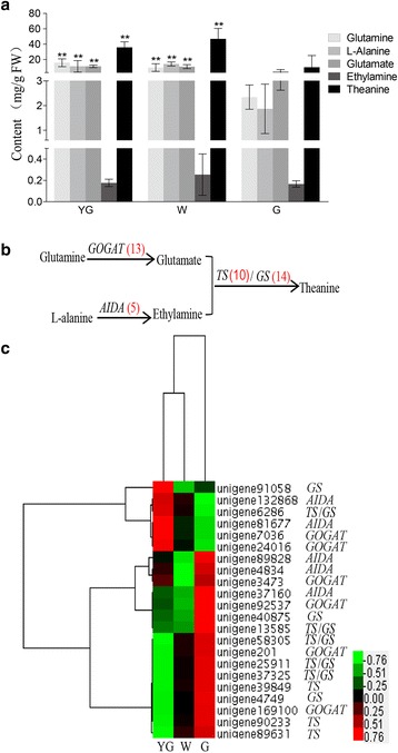 Fig. 6