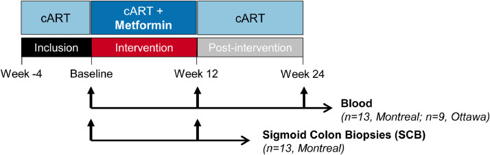 Fig 1: